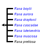 taxon links