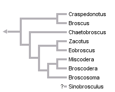 taxon links