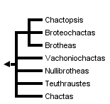 taxon links