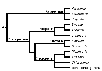 taxon links