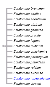 taxon links