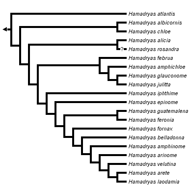 taxon links