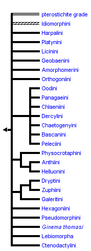 taxon links