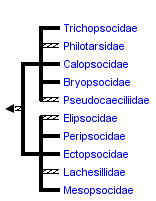 taxon links