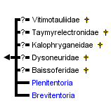 taxon links