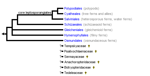 taxon links