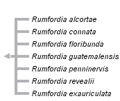 taxon links