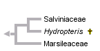 taxon links