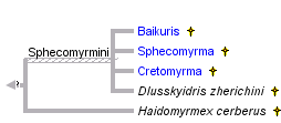 taxon links