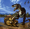 Tyrannosaurus rex guarding a carcass of  Triceratops horridus