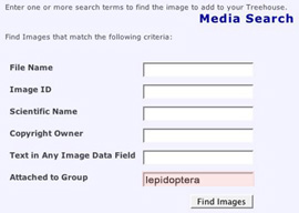 media search Attached to Group