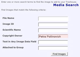 Media Search Copyright Owner