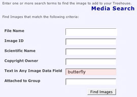 media search, text in any image data field